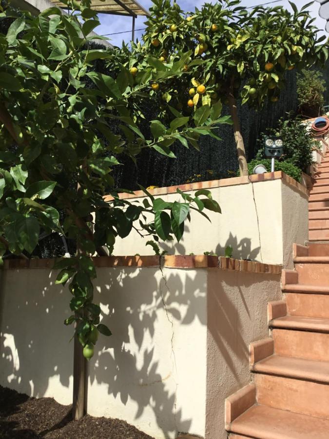 Appartement Paradiso, Avec Piscine, Nord